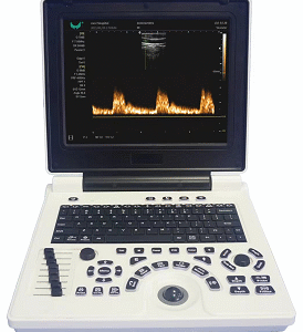 Notebook B/W Ultrasound